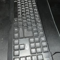 Basic Gaming Peripherals