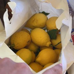 Fresh Home Grown Lemons π 15 Lemons
