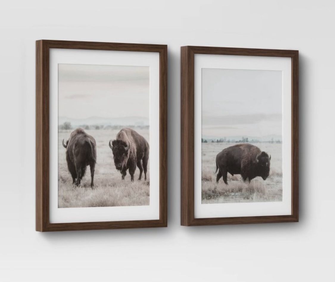 12” x 16” Buffalo Framed Prints Set of 2
