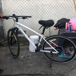 Specialized  Ariel Sport Bike