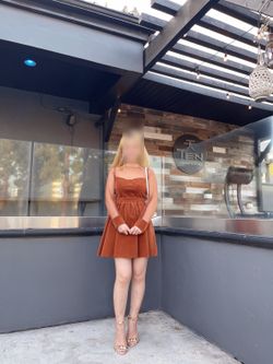 Rust Velvet Mini Dress with Sheer Mesh Sleeves - Size S
