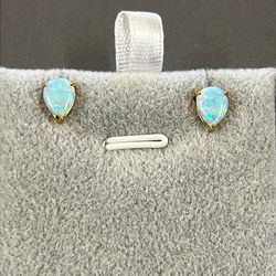 Women’s Opal 14K Yellow Gold Earrings 0.9 Grams