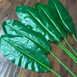 Very Large Tall Tropical Stems, Leaves, Fronds 