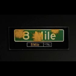 Eminem 41/180 Signed Limited 8 Mile Street Sign Autographed 20th Anniversary