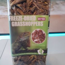 Reptile Food Freezed Dried