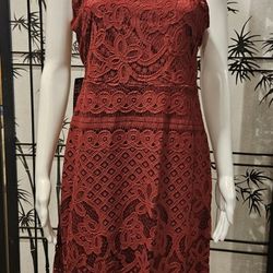 Express Red Lace Dress