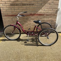 Schwinn Adult Tricycle 