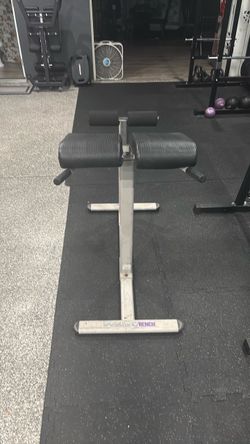 life gear back extension bench