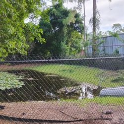 Fence 