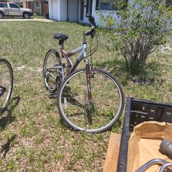 Next Bike.  Could Use Some Servicing