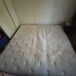 Free Bed