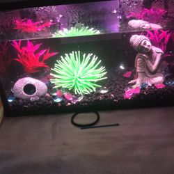 3 Gallon Fish Tank 