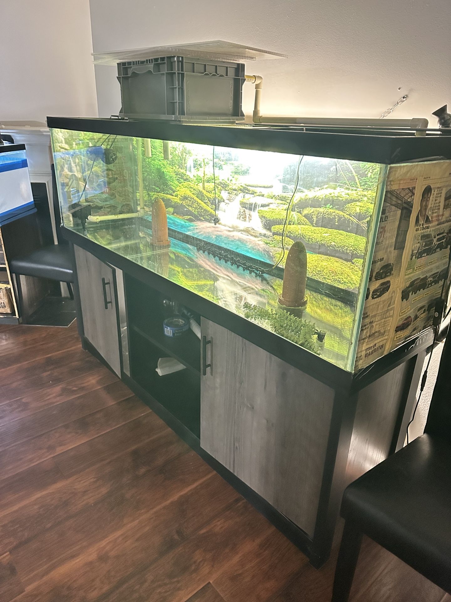 125 gallon fish tank and fillter