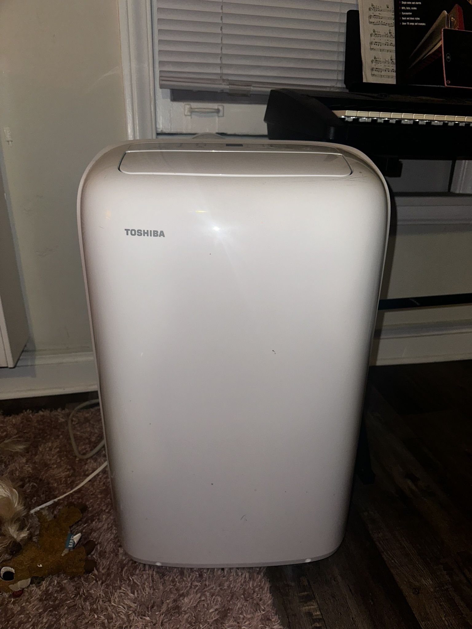 Toshiba AC unit (air Conditioner)