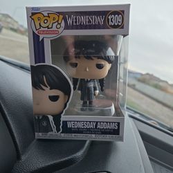 Wednesday Adam's 1309