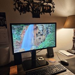 BenQ Gaming Monitor