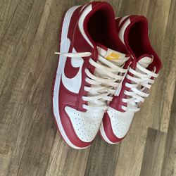 Men’s Size 10.5 Dunks
