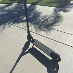 Bird Electric Scooter