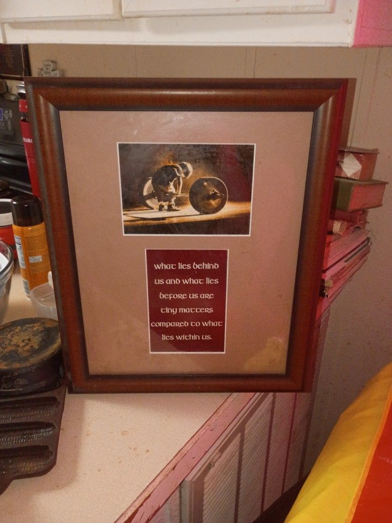 Framed Inspirational Quote Photo