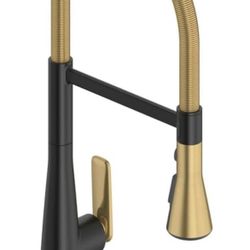 American Standard Aspirations Semi-Pro Kitchen Sink Faucet