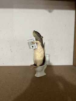 Taxidermy Mouse