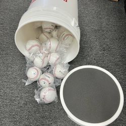 Leather Baseball & Bucket Combo - Will Not Respond To Lower Offers
