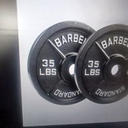 Weight Plates Pair 35lbs