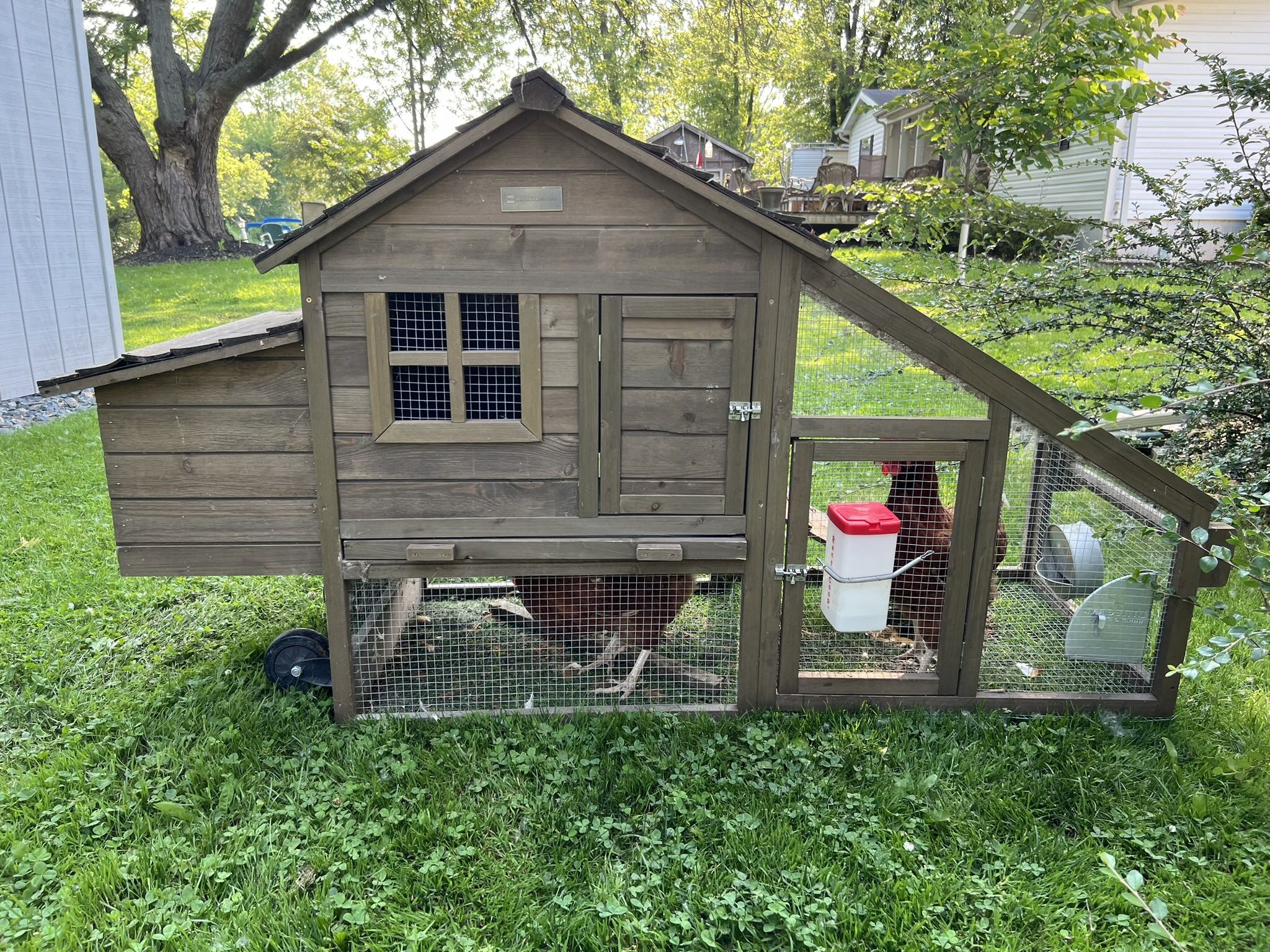 Chicken Coop 