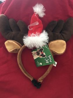 Dog Christmas hats!!!