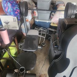 Weight Bench & Weights