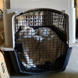 Large Dog Kennel