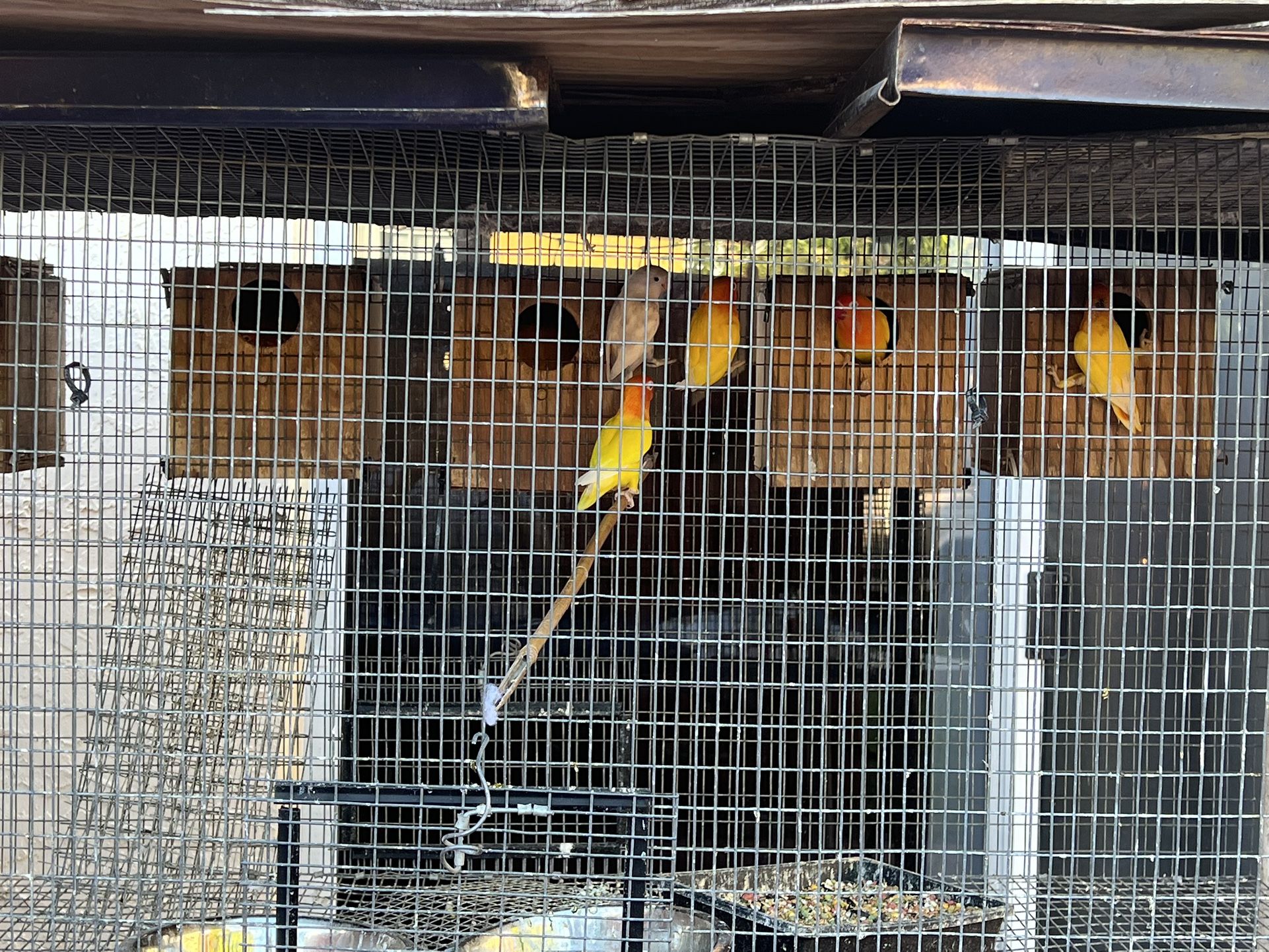 Bird Cage for Sale in Miami, FL OfferUp