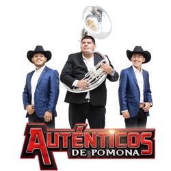 Grupo Norteño Disponible