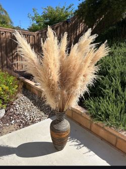 58" Tall Natural Pampas Grass Arrangement - 18 Stems + Large Vase
