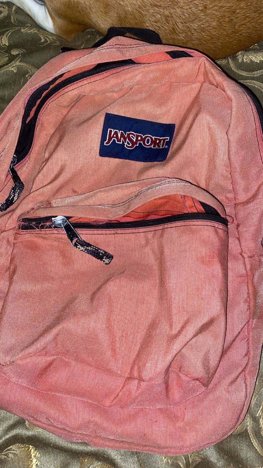 Jansport Backpack 