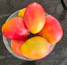 Organic. Mangos. Tropical fruit
