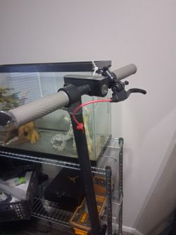 Electric scooter