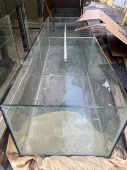 Fish tank