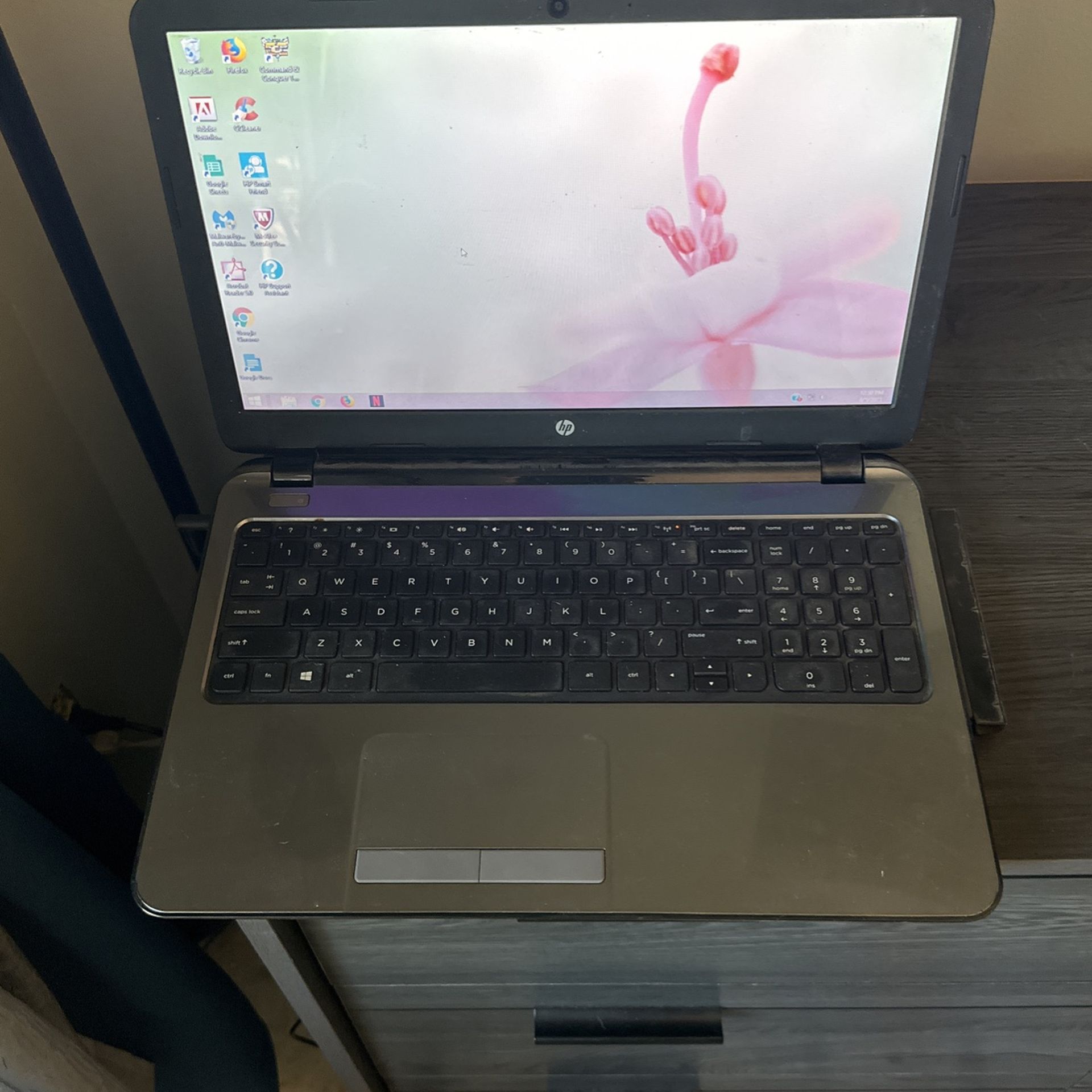 Hp Laptop 