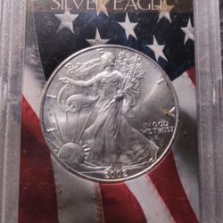 2002 Silver Coin 