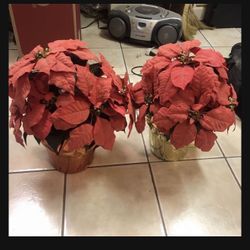 Artificial Poinsettias 