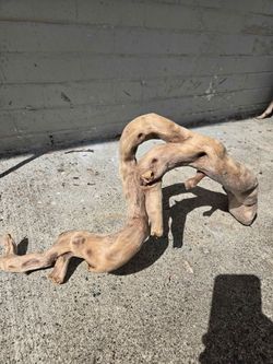Driftwood 20x8x7