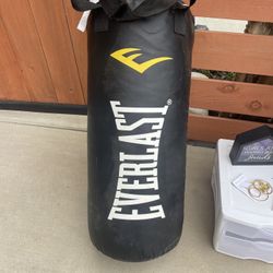 Everlast 40 Lb Punching Bag