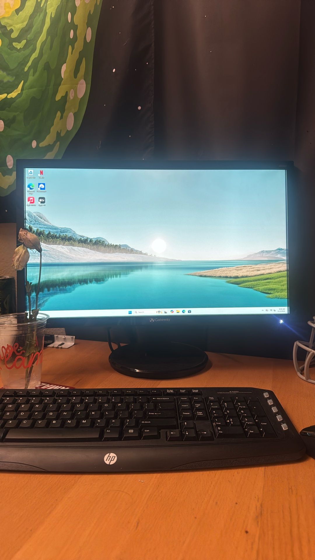 Desktop & Monitor