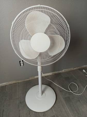 Fan