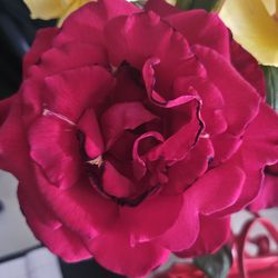Red Rose Frangant