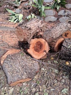 Free Firewood