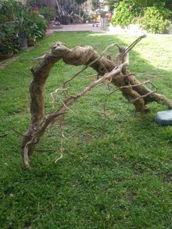Natural Driftwood For Aquariums Terrariums Decor