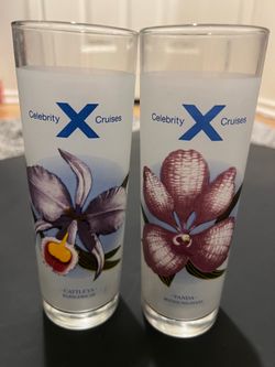 2 CELEBRITY CRUISES COCKTAIL GLASSES WITH RECIPES  - BARWARE - RARE - NEW