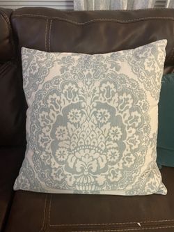 Pottery Barn 100% Down Pillow & Cover